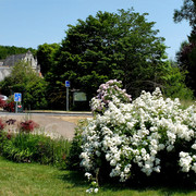 Chedigny8