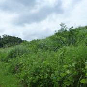 P1320411