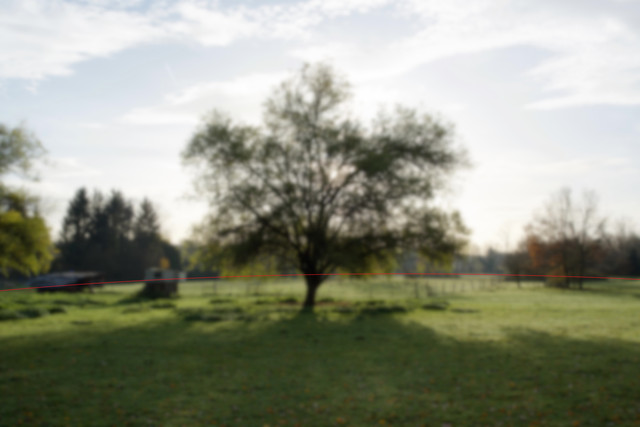 tree-2