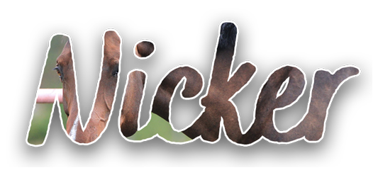 IMG-0260.png