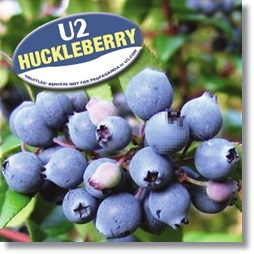 cover-22.jpg