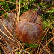 P1130682