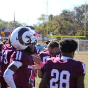 IMG-8384