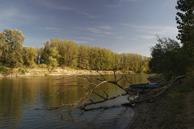 100f0087m.jpg