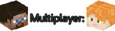 Multiplayer