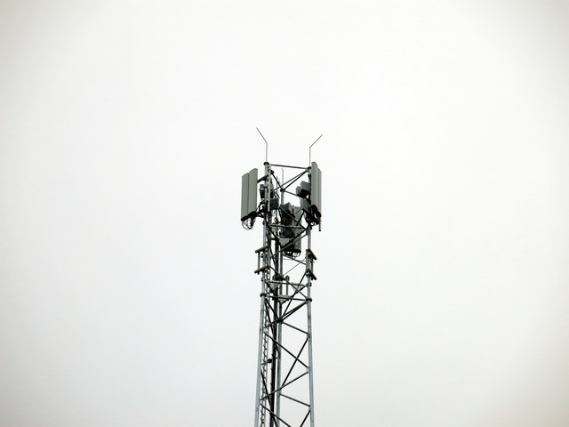 IMG-4694