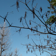 2012-01-06-224