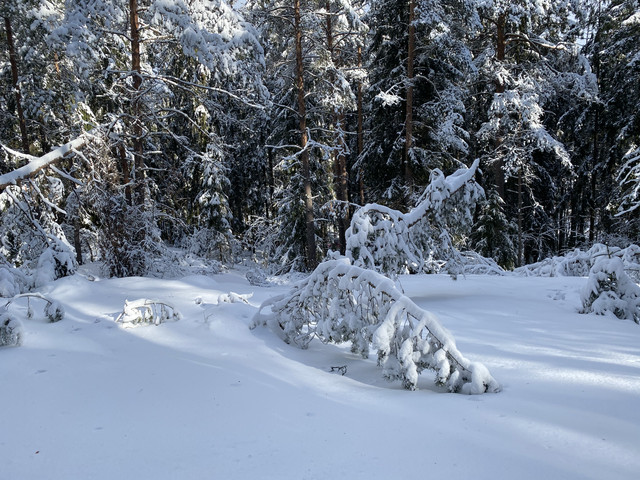 40205-A66-6-BF3-4548-98-CC-1-EA8090904-E