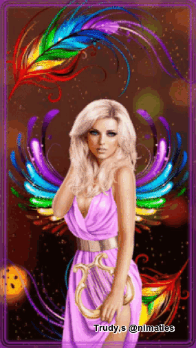 5.gif