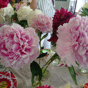 IMG-20220627-115925