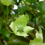 P1150353
