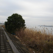 2009-03-01-29