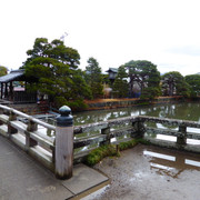 IMG-2769