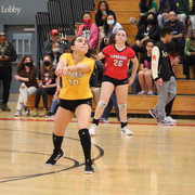 IMG-4322