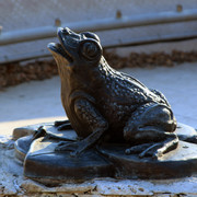 IMG-0952