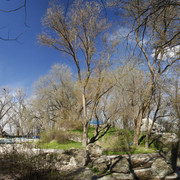 10a00074m