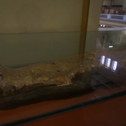 DSC09848