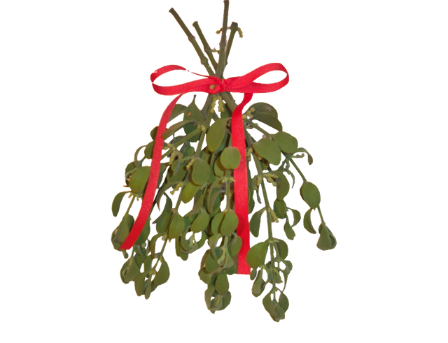 MISTLETOE.png