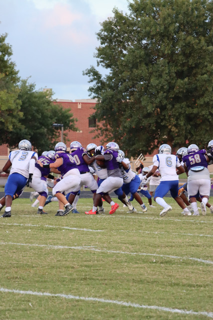 IMG-0190