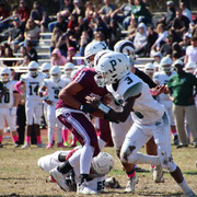 IMG-3335