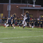 IMG-4553