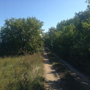 IMG-4149