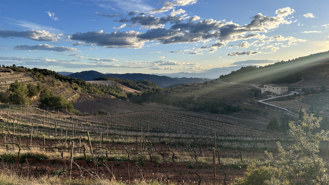 Paysage du Priorat