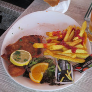 IMG-3558
