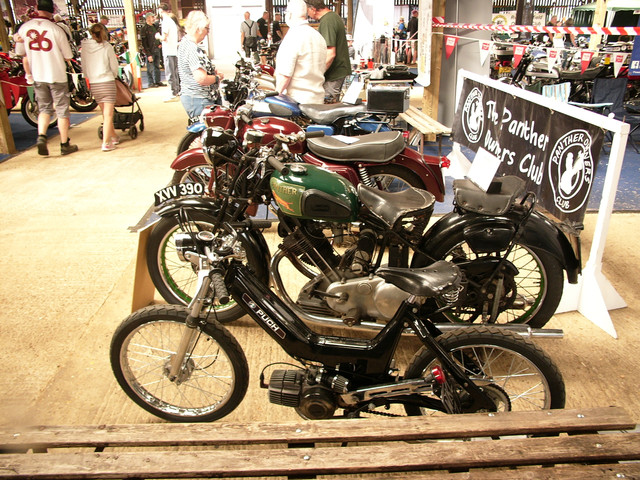 P1180194.jpg