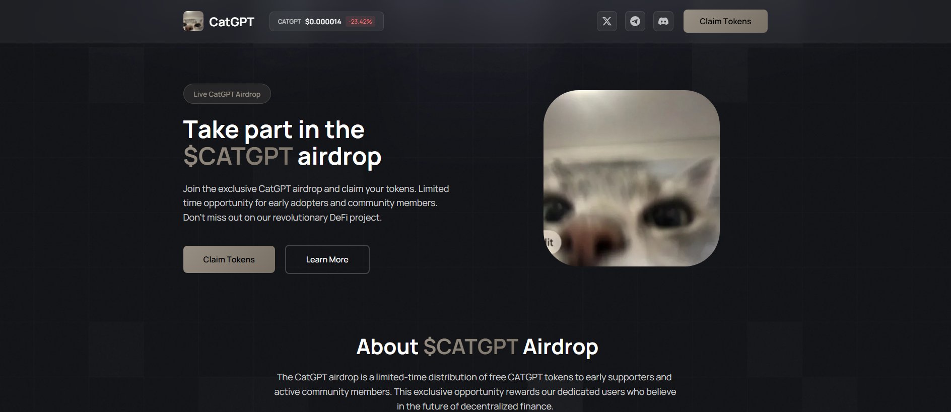 Stored capture of claimcatgpt.lol