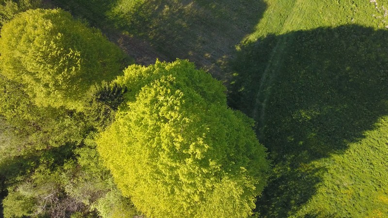 Saborsko aerial photo