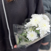 IMG-6478