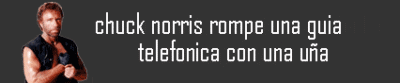 chuck-norris.gif