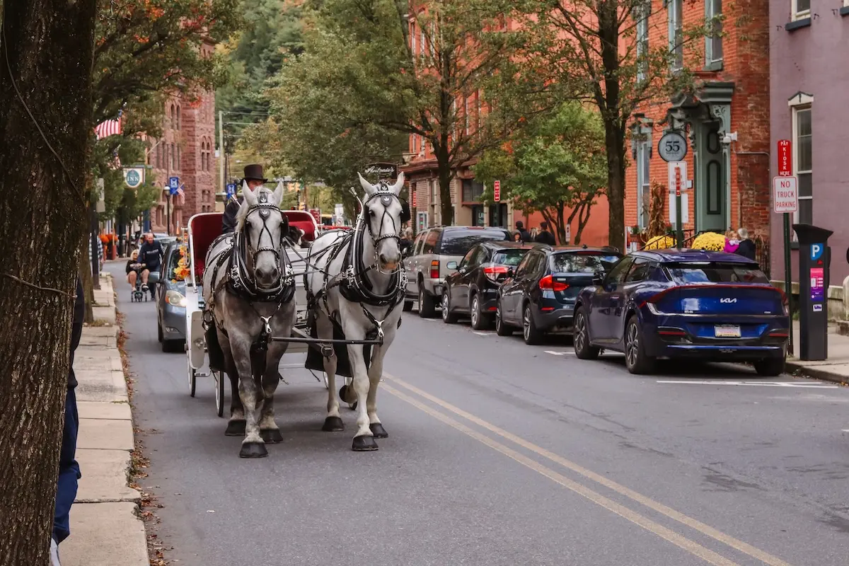 A Slice of Old Europe in America