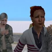 image228