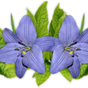 0-7727f-72e15964-L