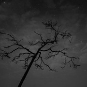 DSC06349