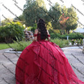 IMG 1593