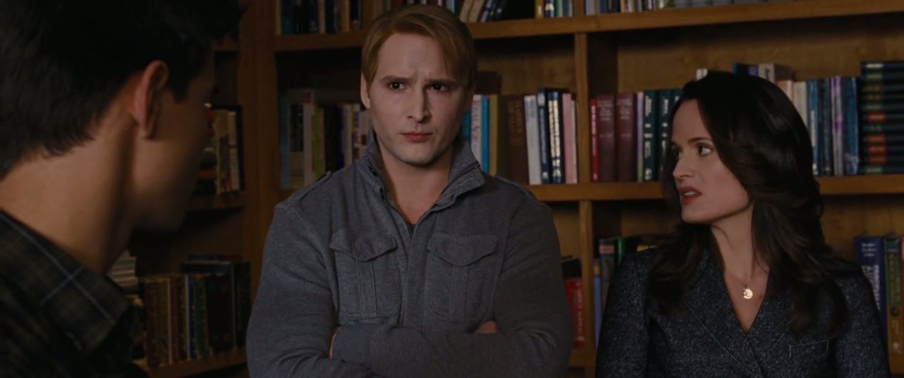The Twilight Saga: Breaking Dawn - Part 1 Screenshot