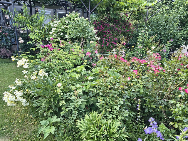 garden2.jpg