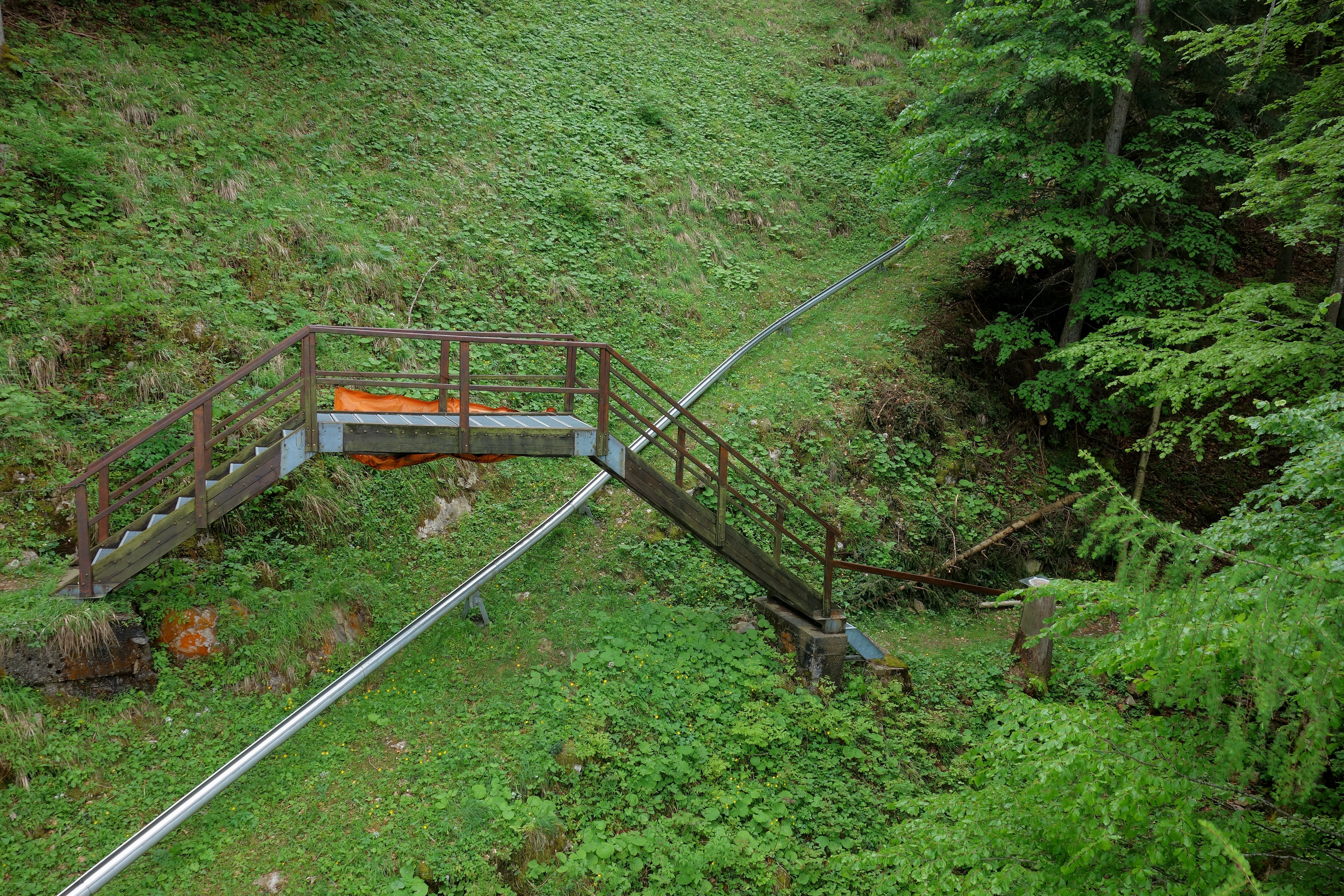 DSC07551
