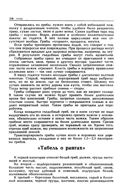 1989-231