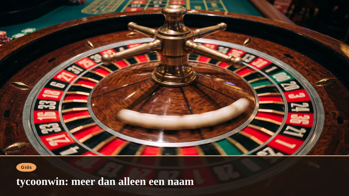 tycoonwin: meer dan alleen een naam