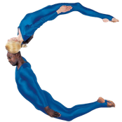 a (3)