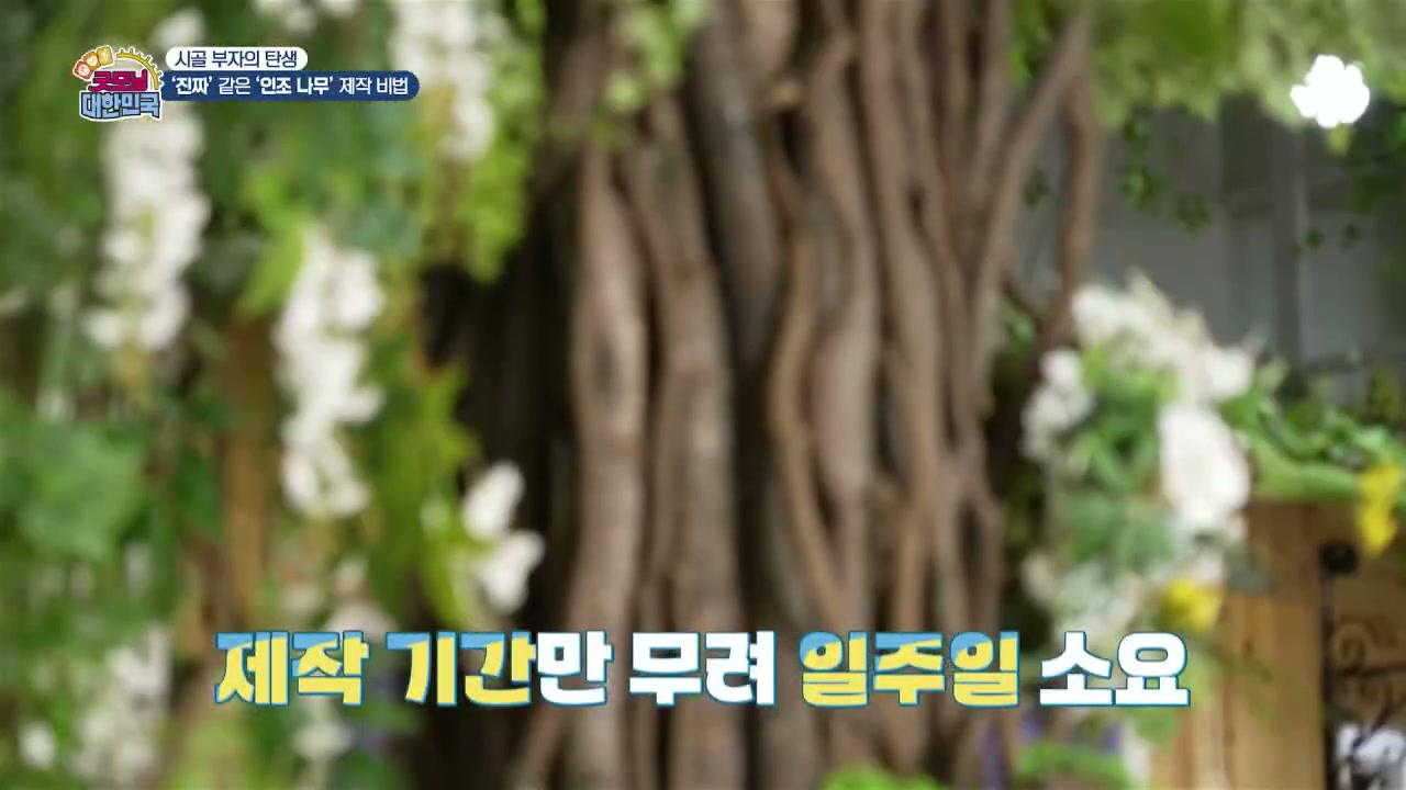 굿모닝대한민국 고양 인조나무 추가 캡처 3