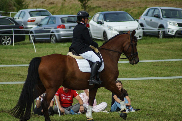 DSC05325.jpg