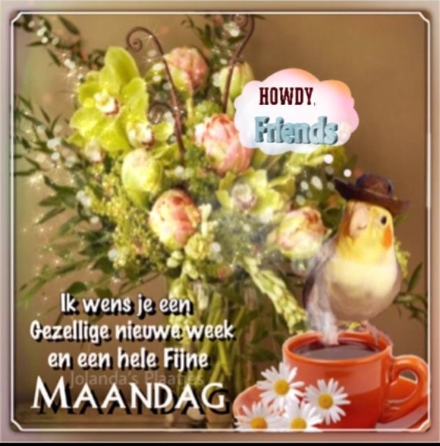 hello maandag.jpg