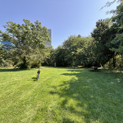 IMG-9978