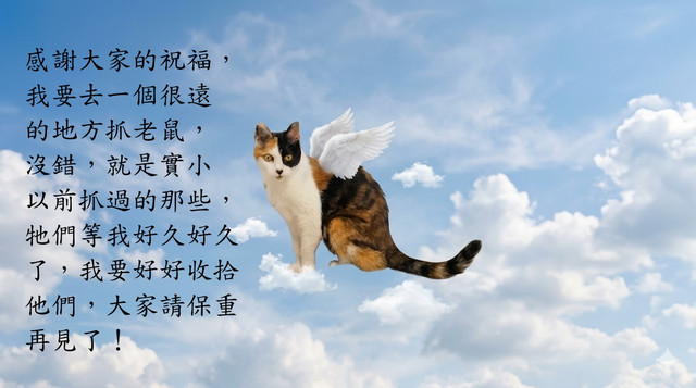 花花翅膀要去抓老鼠