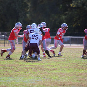 IMG-0557